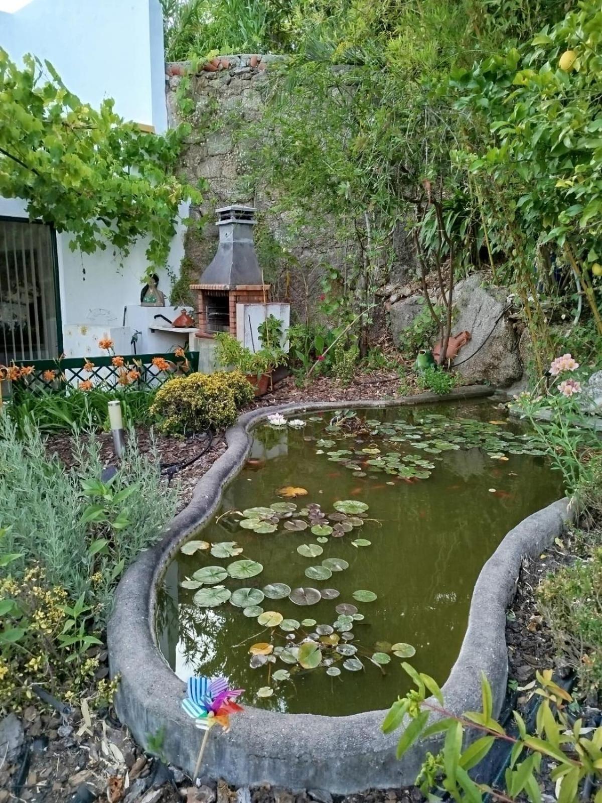 Villa Marques Вила Нова да Баркиня Екстериор снимка
